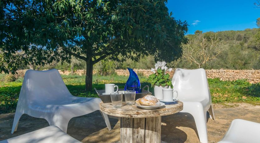 Photo of Sweet Orange Solitude