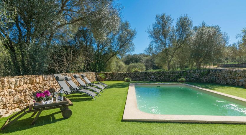 Photo of Sweet Orange Solitude