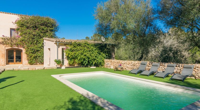 Photo of Sweet Orange Solitude