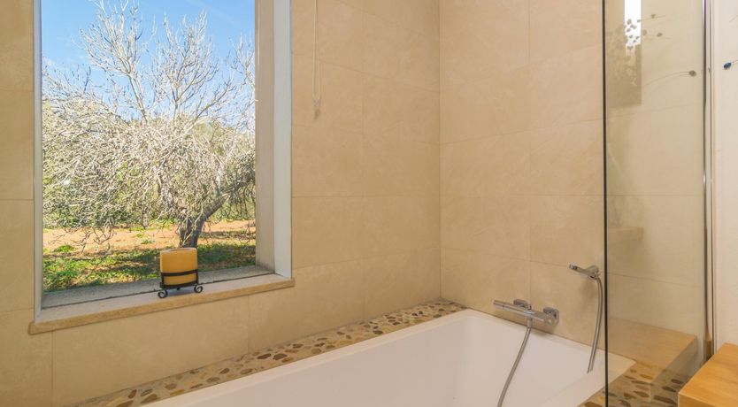 Photo of Sweet Orange Solitude