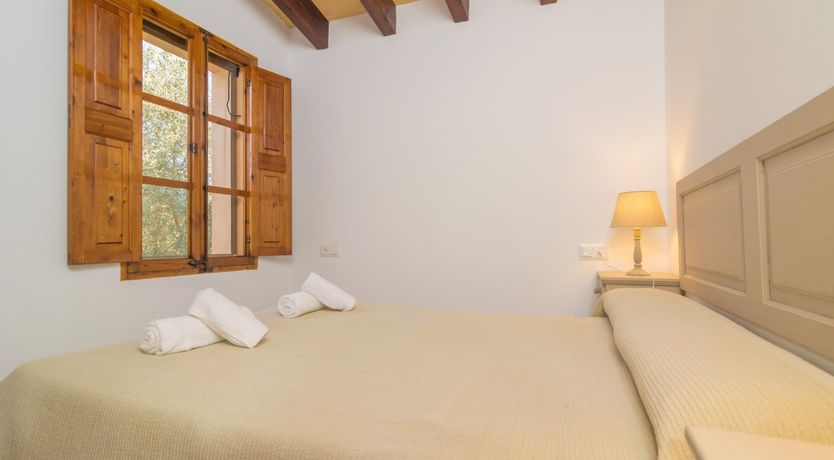 Photo of Sweet Orange Solitude