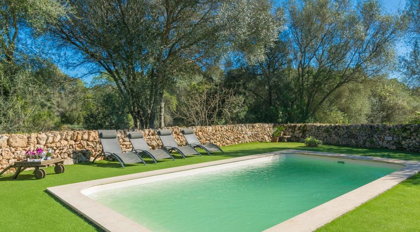 Photo of Sweet Orange Solitude