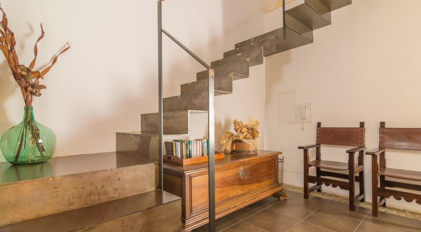 Photo of Sweet Orange Solitude