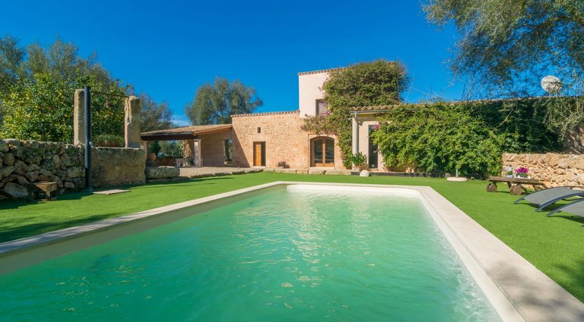 Photo of Sweet Orange Solitude