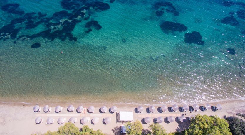 Photo of Grecian Grace