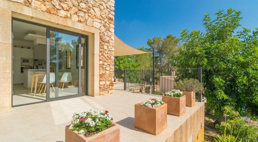 Photo of Meet Me at Midnight