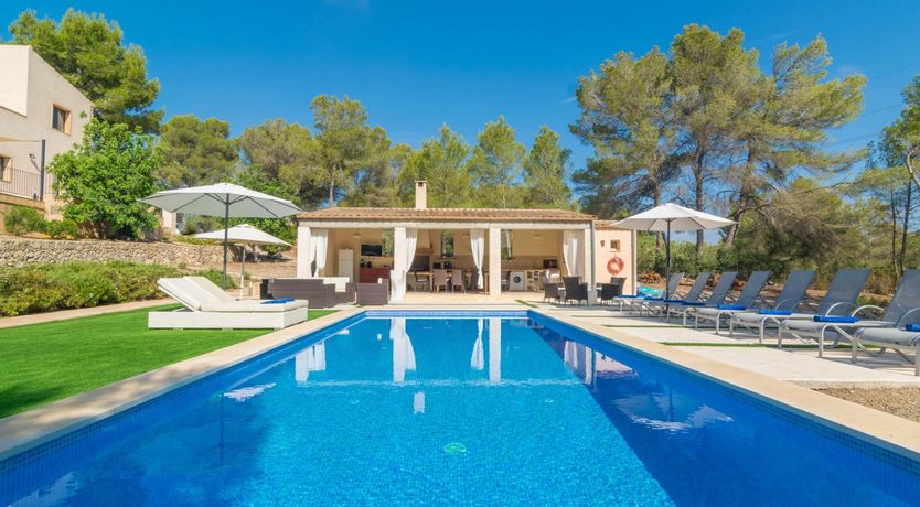 Photo of Meet Me at Midnight