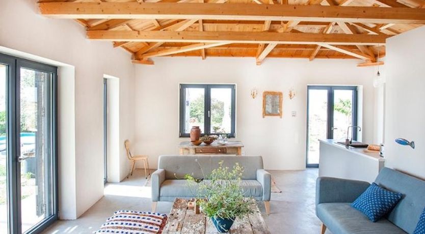 Photo of Terrapin Shell