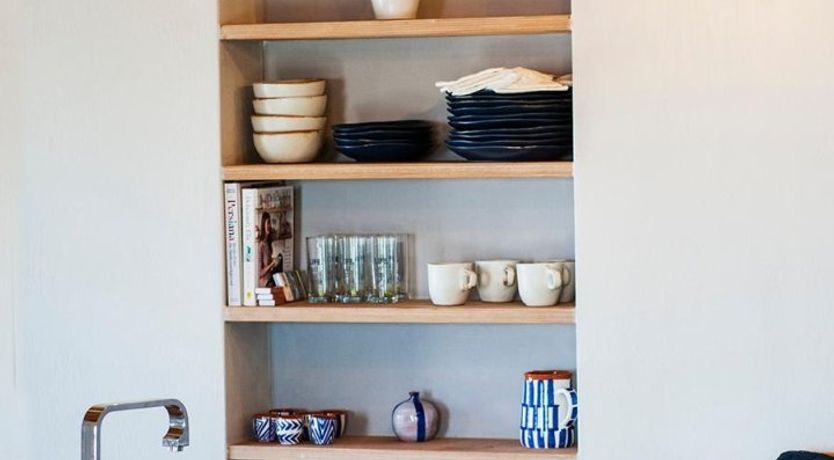 Photo of Terrapin Shell