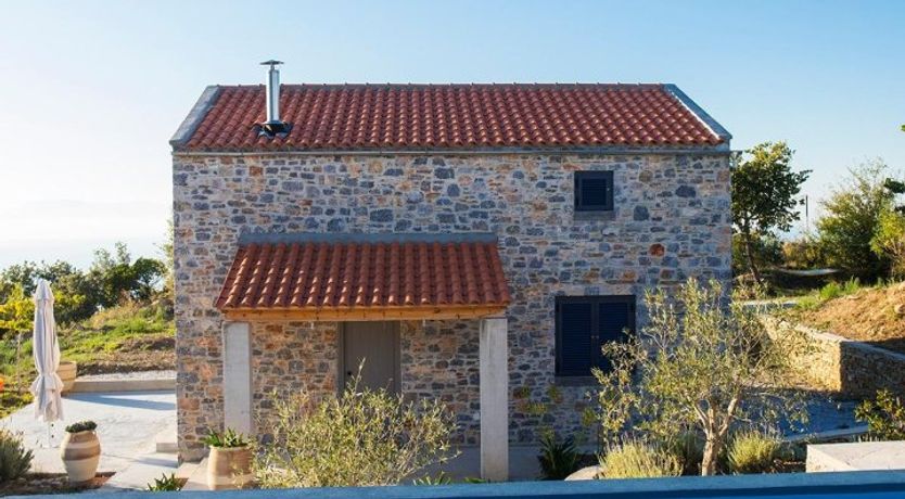 Photo of Terrapin Shell