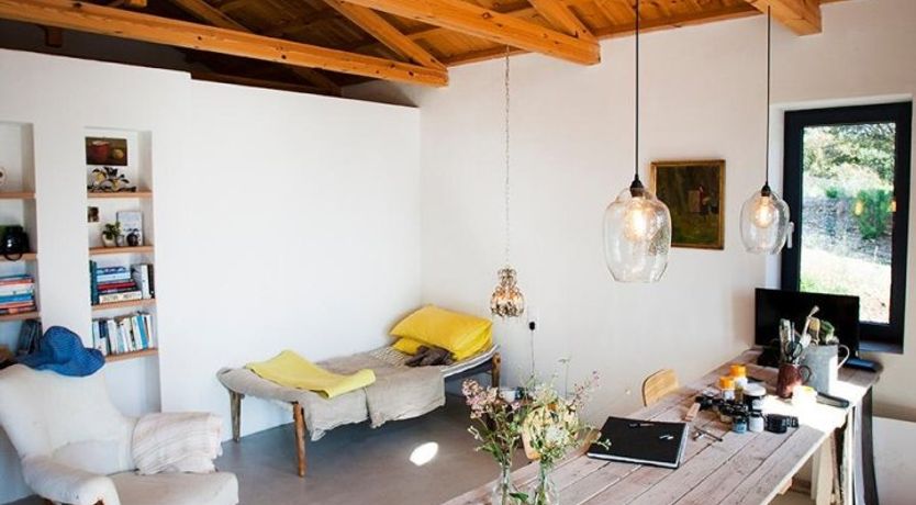 Photo of Terrapin Shell