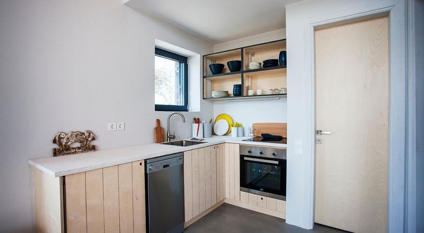 Photo of Terrapin Shell