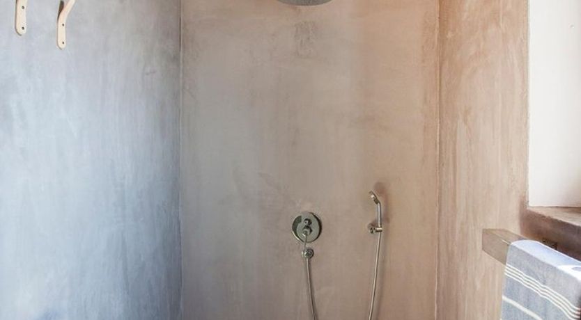 Photo of Terrapin Shell