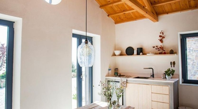 Photo of Terrapin Shell