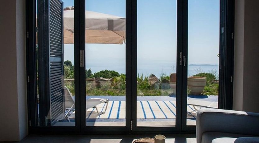 Photo of Terrapin Shell