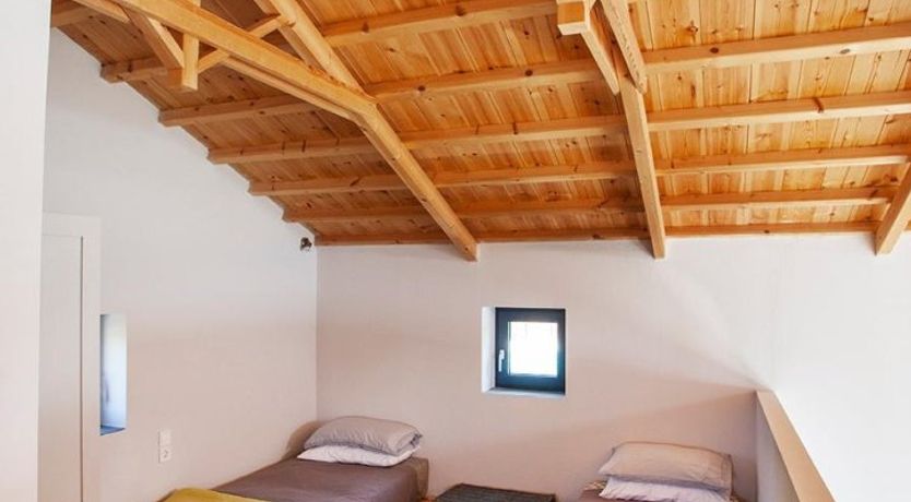 Photo of Terrapin Shell