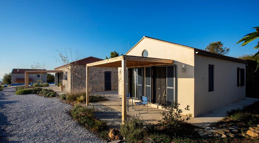 Photo of Terrapin Shell