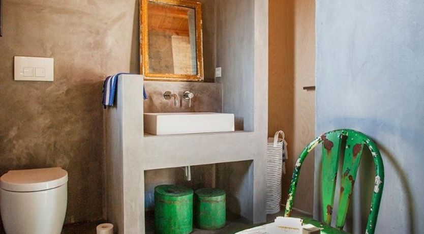 Photo of Terrapin Shell