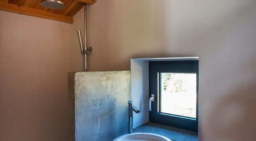 Photo of Terrapin Shell