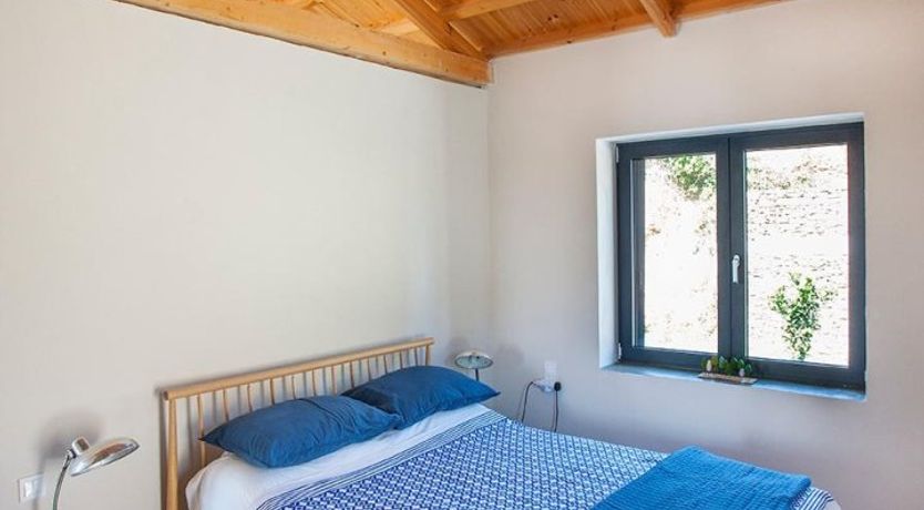 Photo of Terrapin Shell