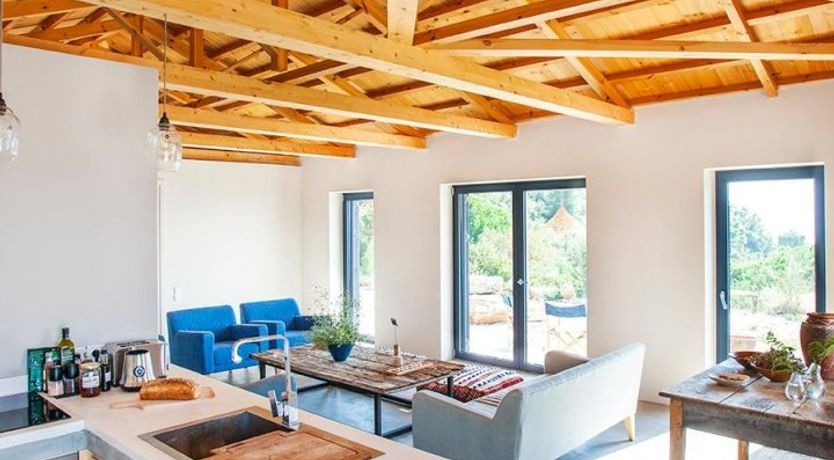 Photo of Terrapin Shell