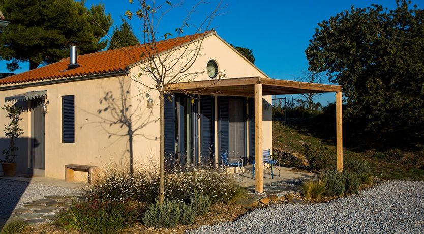 Photo of Terrapin Shell