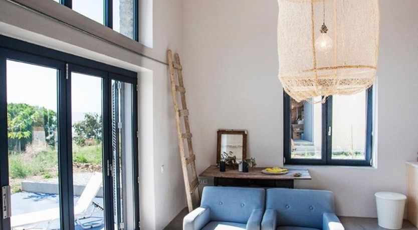 Photo of Terrapin Shell