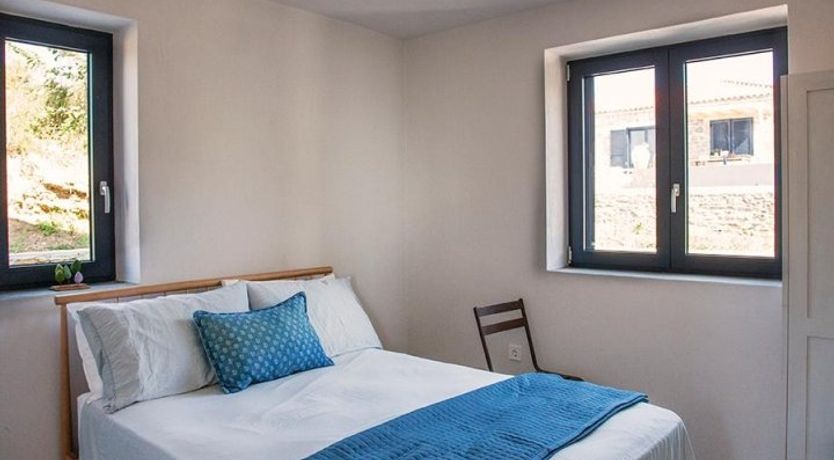 Photo of Terrapin Shell