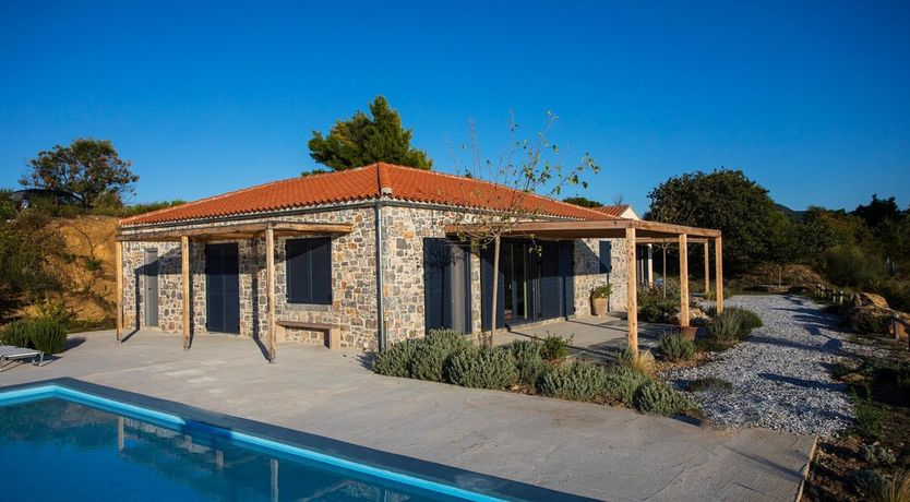 Photo of Terrapin Shell