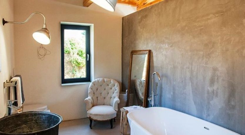 Photo of Terrapin Shell