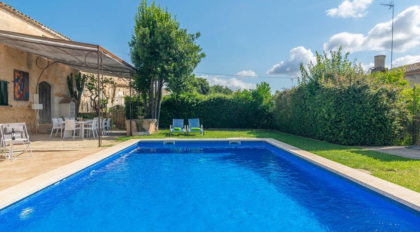 Photo of The Red Jersey