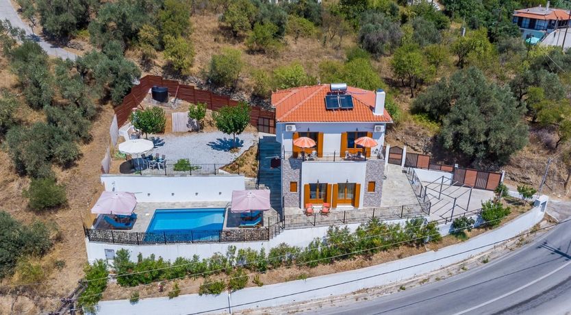 Photo of Tip of the Tongue