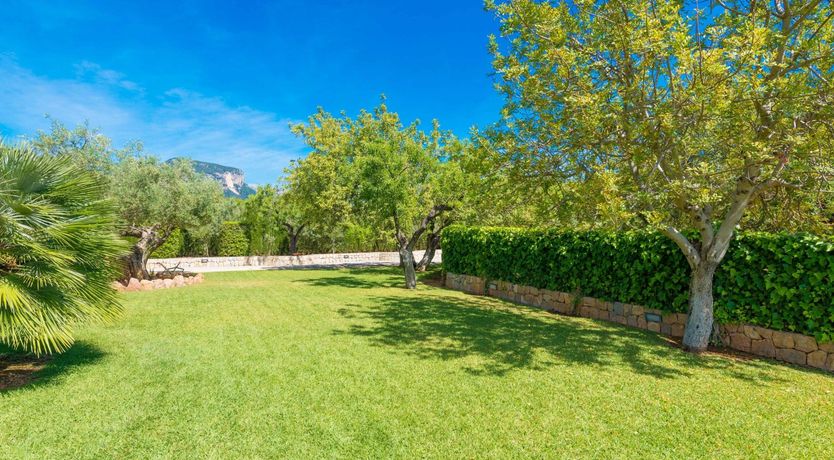 Photo of Bosque de Sol