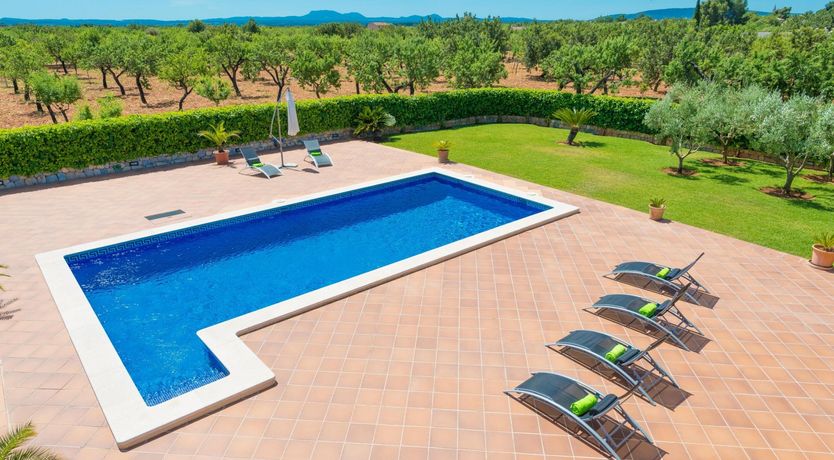 Photo of Bosque de Sol