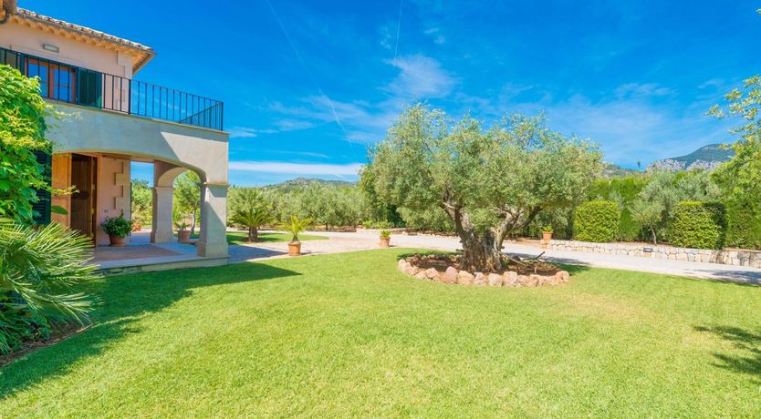 Photo of Bosque de Sol