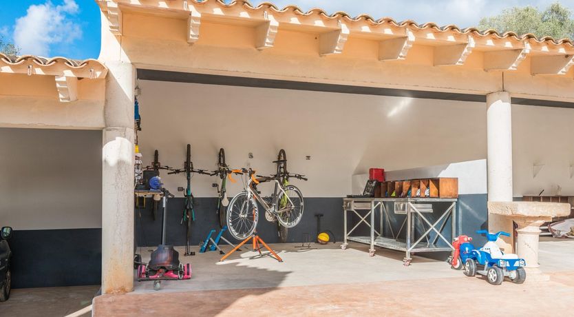 Photo of Land Of Green