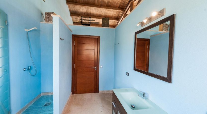 Photo of Land Of Green