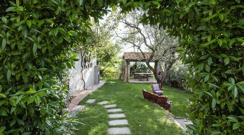 Photo of Vintage Vines