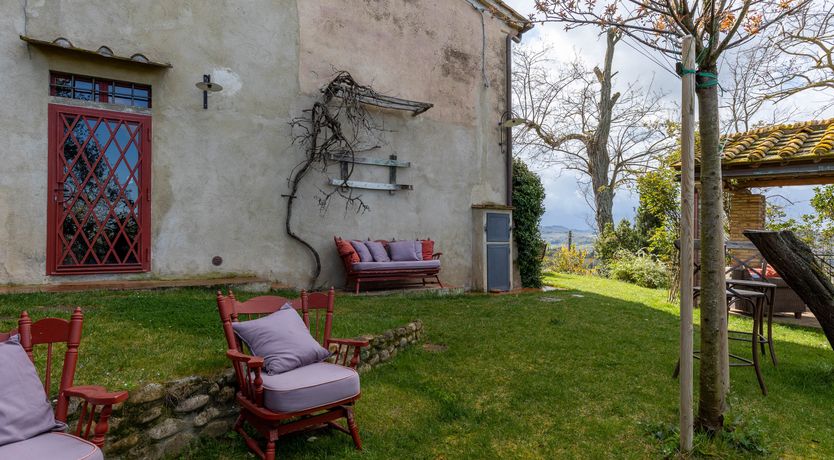 Photo of Vintage Vines