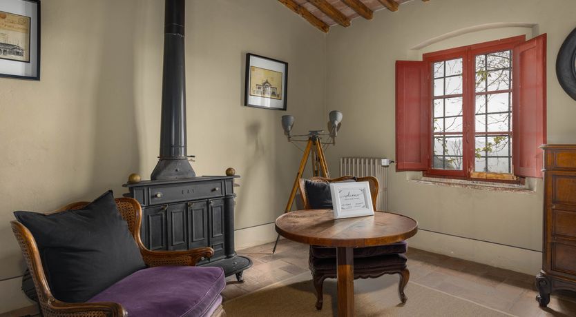 Photo of Vintage Vines