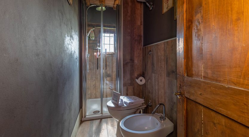 Photo of Vintage Vines