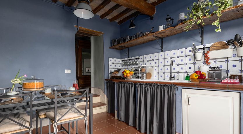 Photo of Vintage Vines