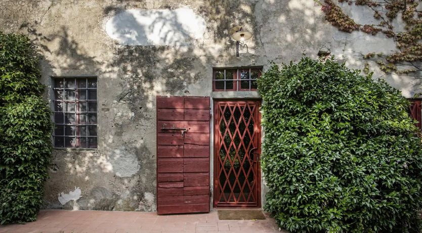 Photo of Vintage Vines