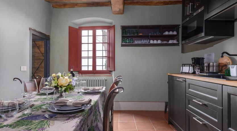 Photo of Vintage Vines