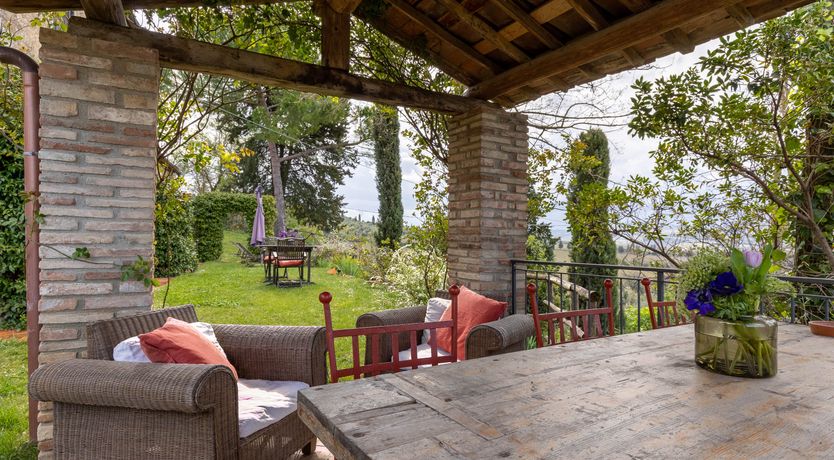 Photo of Vintage Vines