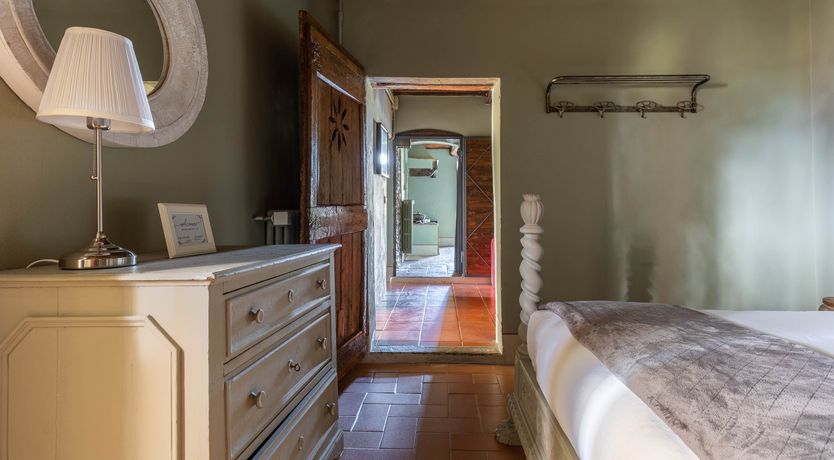 Photo of Vintage Vines