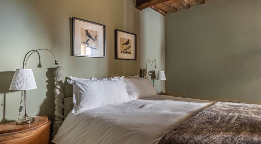 Photo of Vintage Vines