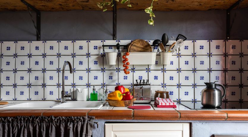 Photo of Vintage Vines