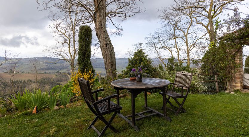 Photo of Vintage Vines