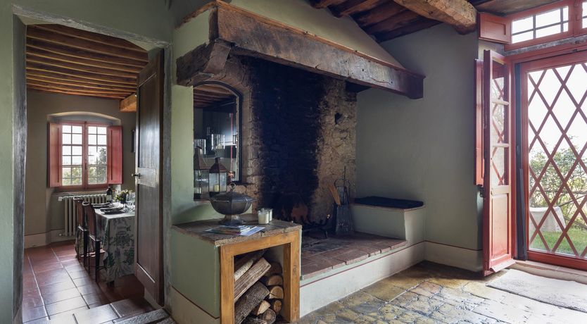 Photo of Vintage Vines